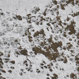 Photo Textures of Ground Snowy